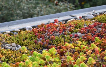 the cost of Reen Manor green roof installation