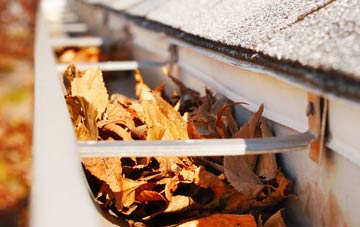 Reen Manor gutter cleaning companies