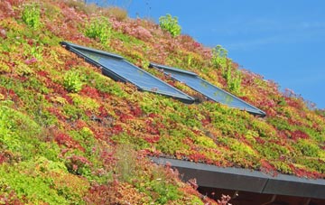Reen Manor living roof systems
