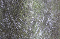 Reen Manor fibreglass roof work