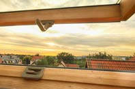 rated Reen Manor roof window companies